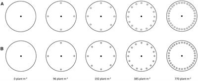 No Vegetative and Fecundity Fitness Cost Associated with Acetyl-Coenzyme A Carboxylase Non-target-site Resistance in a Black-Grass (Alopecurus myosuroides Huds) Population